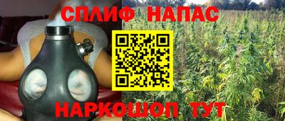 бошки Обь