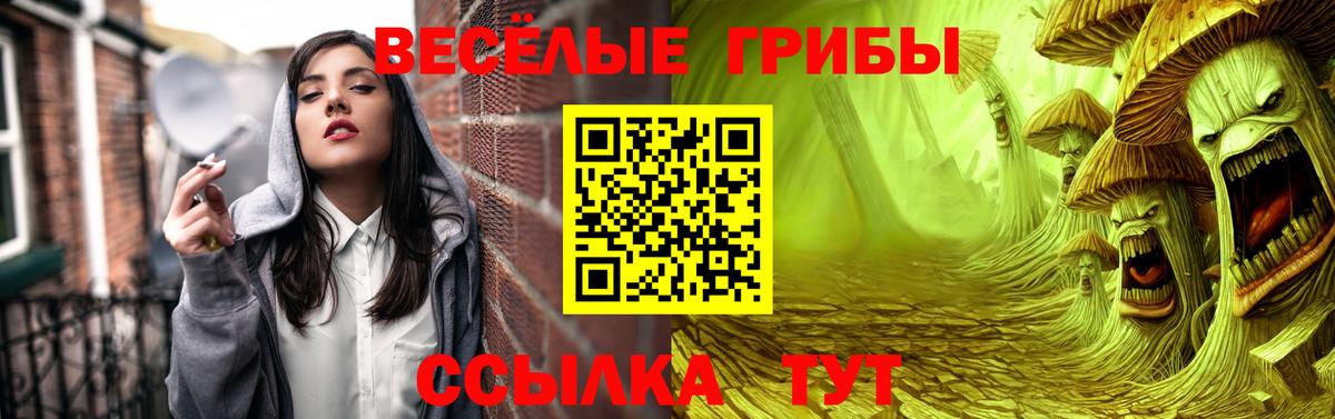 Галлюциногенные грибы мухоморы  Псилоцибиновые грибы мухоморы  Вход с VPN  хочу   Тобольск 